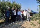 Başkan Mazlum Nurlu Güne Erik Hasadıyla Başladı