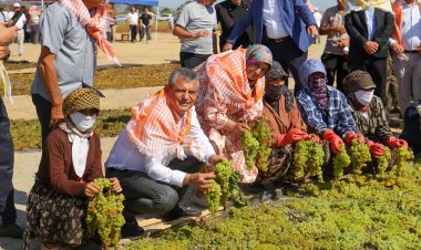 YENİ Parti Genel Başkanı Özgür Özel Manisa’da Üzüm Üreticileriyle Buluştu